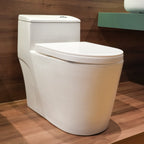 Bồn cầu một khối men Nano Casalux CL/BC01