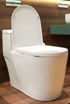 Bồn cầu một khối men Nano Casalux CL/BC01