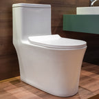 Bồn cầu một khối men Nano Casalux CL/BC02