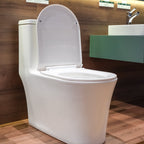 Bồn cầu một khối men Nano Casalux CL/BC02