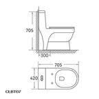 Bồn cầu một khối men Nano Casalux CL/BC07