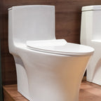 Bồn cầu một khối men Nano Casalux CL/BC08