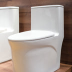 Bồn cầu một khối men Nano Casalux CL/BC09