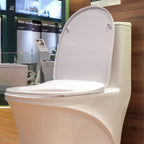 Bồn cầu một khối men Nano Casalux CL/BC10